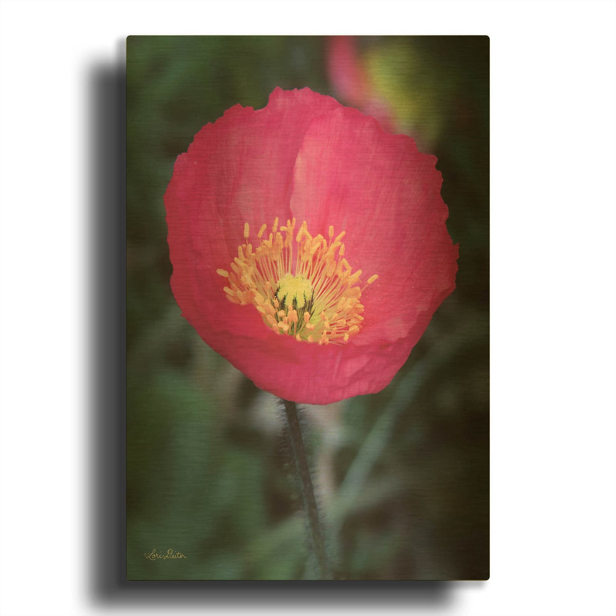 'Floral Pop I' By Lori Deiter Gold Metal Wall Art