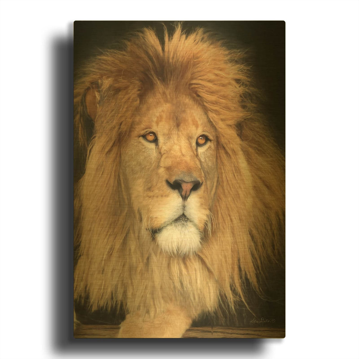 'King of the Jungle' By Lori Deiter Gold Metal Wall Art
