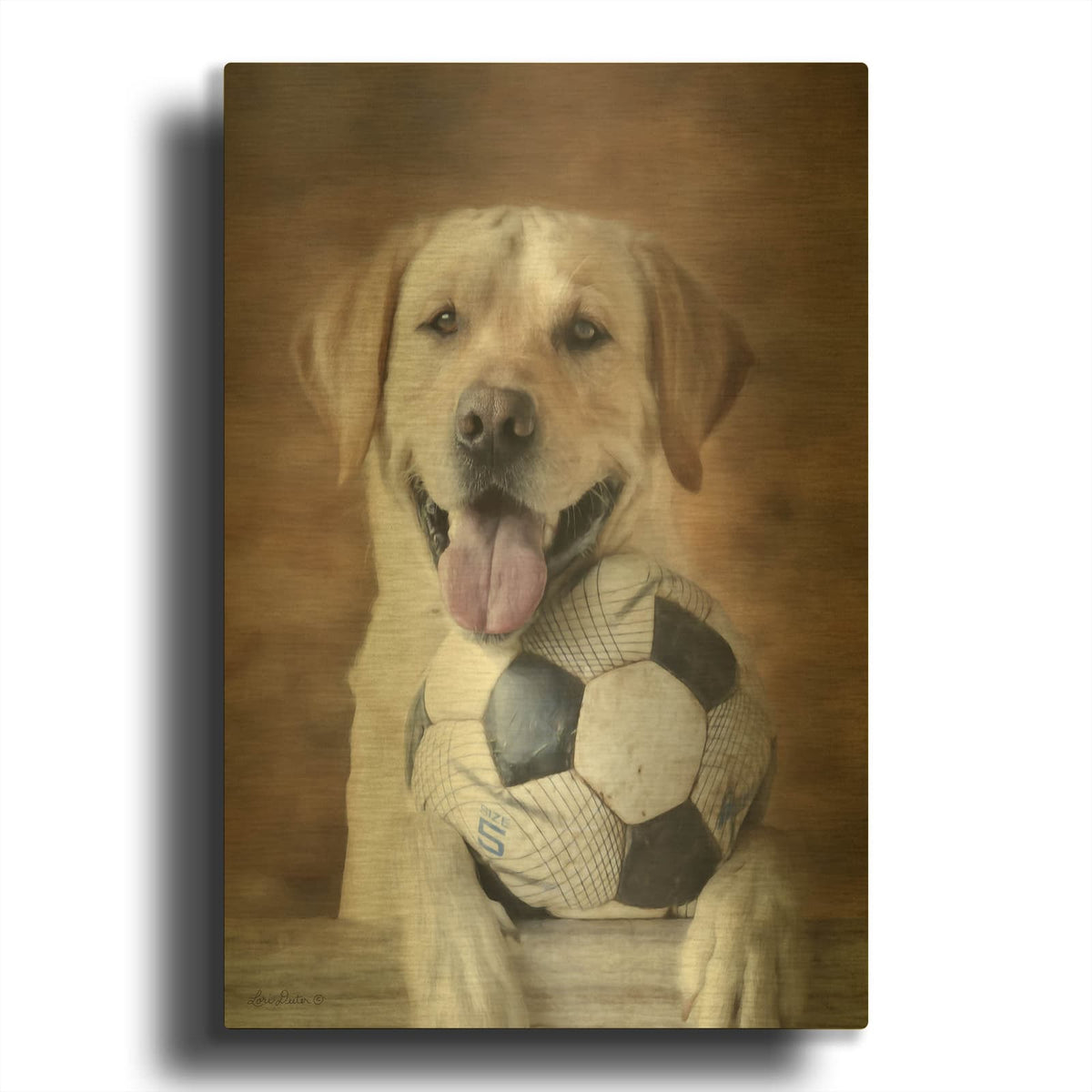 'Playtime' By Lori Deiter Gold Metal Wall Art