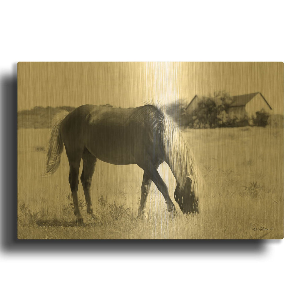 'Summer Grazing' By Lori Deiter Gold Metal Wall Art