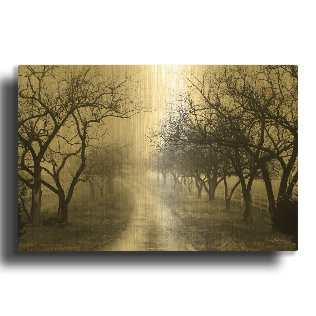 'Foggy Lane' By Lori Deiter Gold Metal Wall Art