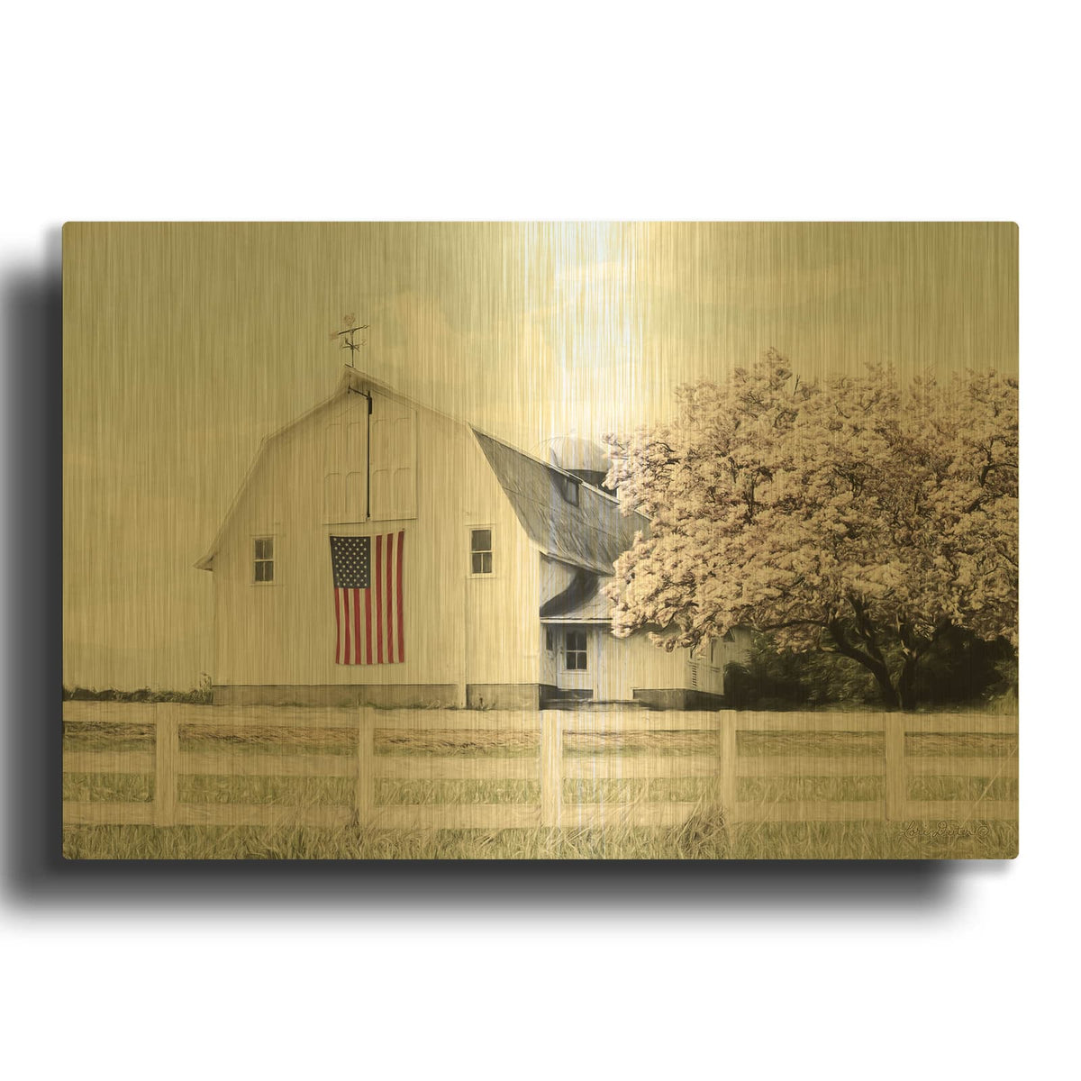 'Brownsville Patriot' By Lori Deiter Gold Metal Wall Art