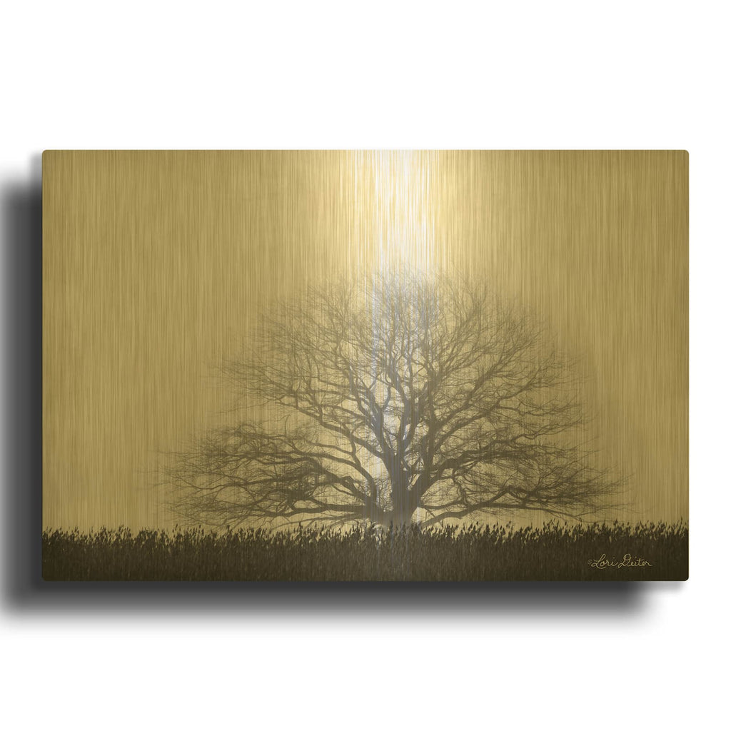 'Foggy Old Tree' By Lori Deiter Gold Metal Wall Art