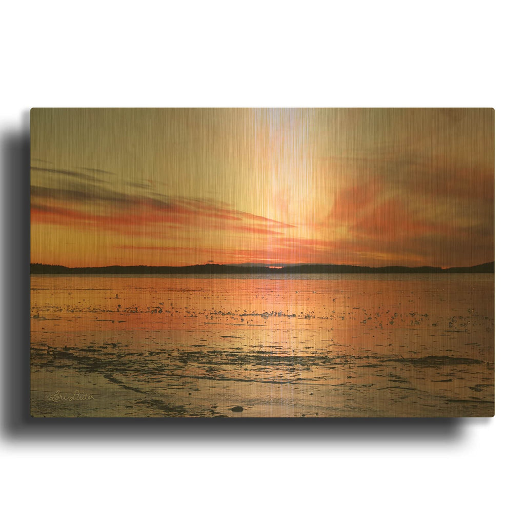 'Fire and Ice' By Lori Deiter Gold Metal Wall Art