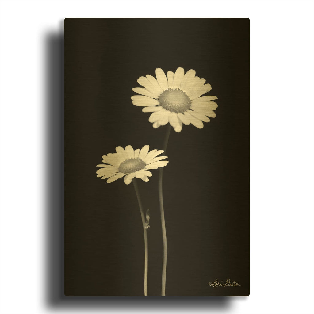 'Pair of Daisies' By Lori Deiter Gold Metal Wall Art