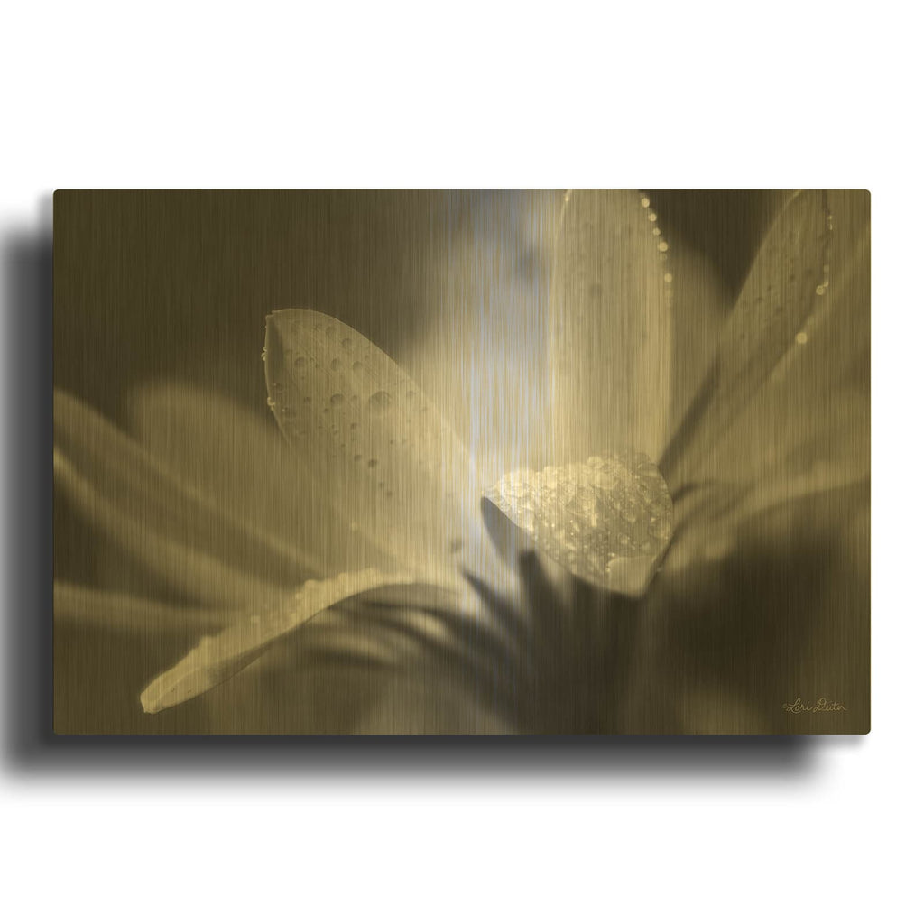 'Daisy' By Lori Deiter Gold Metal Wall Art