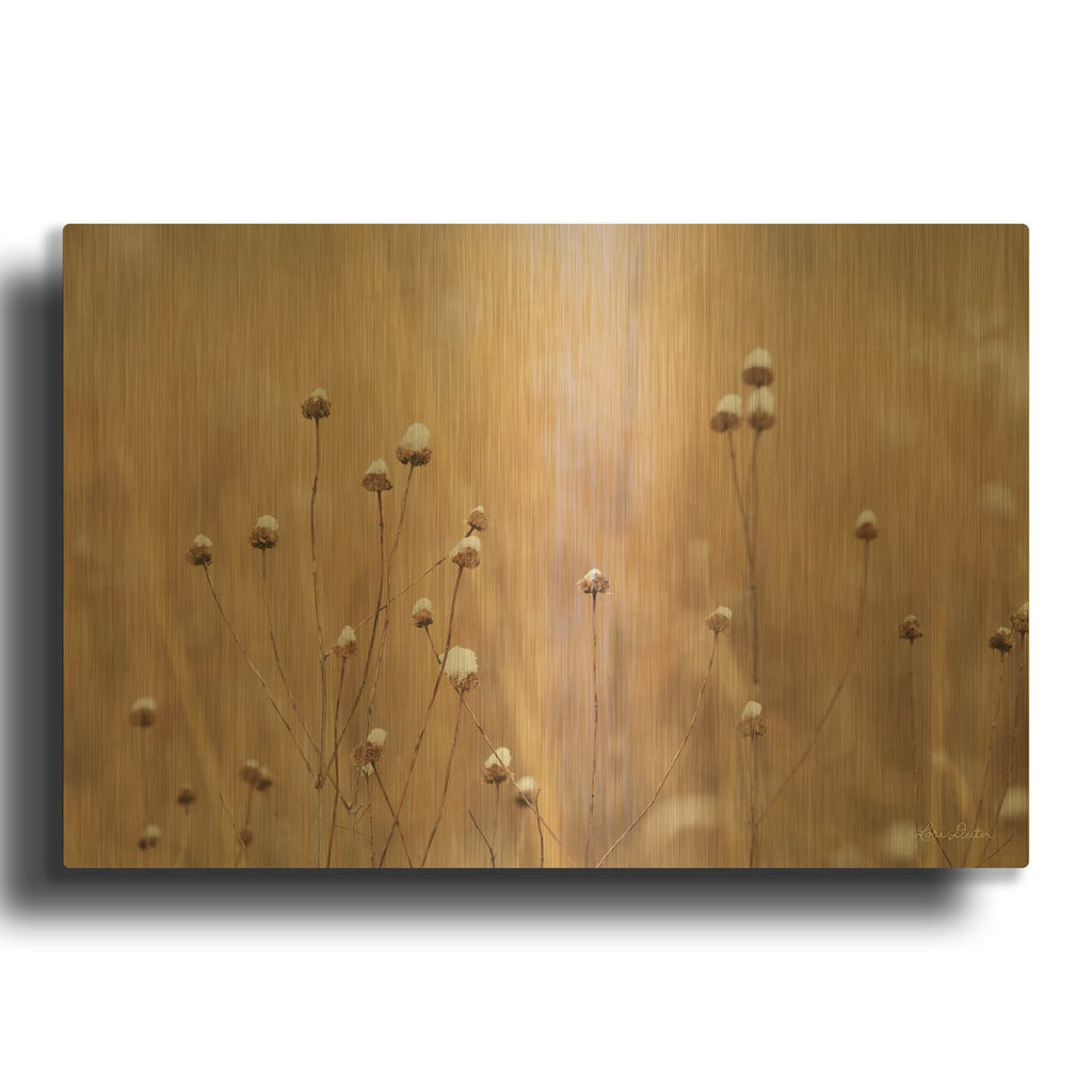 'Snow Capped Wildflowers' By Lori Deiter Gold Metal Wall Art