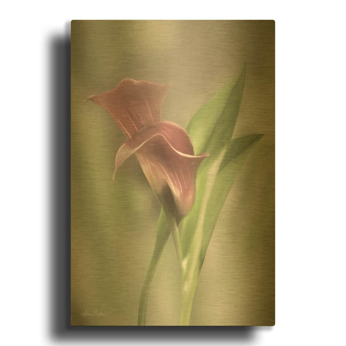 'Pink Calla Lily' By Lori Deiter Gold Metal Wall Art