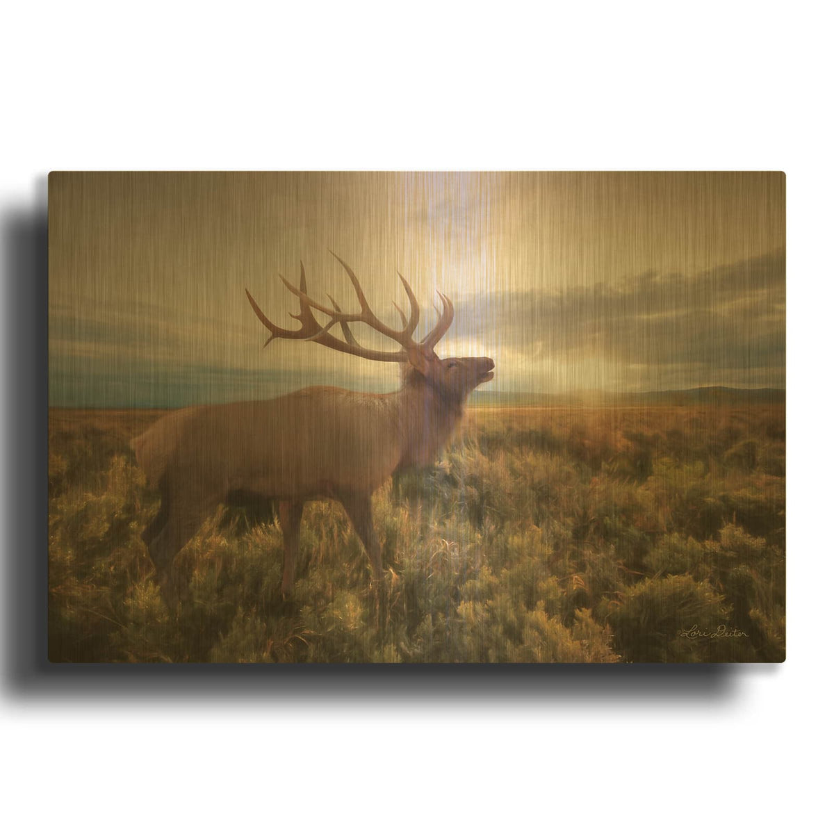 'Jackson Sunrise with Elk' By Lori Deiter Gold Metal Wall Art