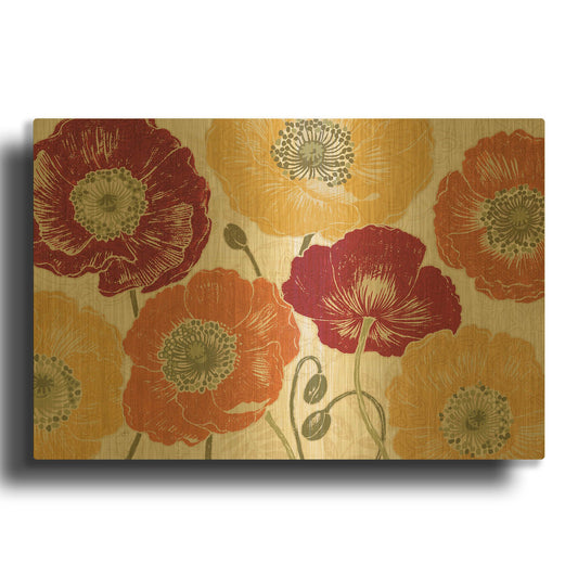 'A Poppys Touch I Spice' By Daphne Brissonnet Gold Metal Wall Art
