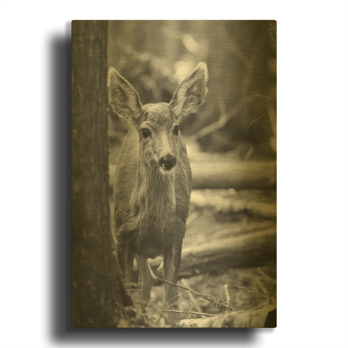 'Rocky Mountains Deer' By Lori Deiter Gold Metal Wall Art