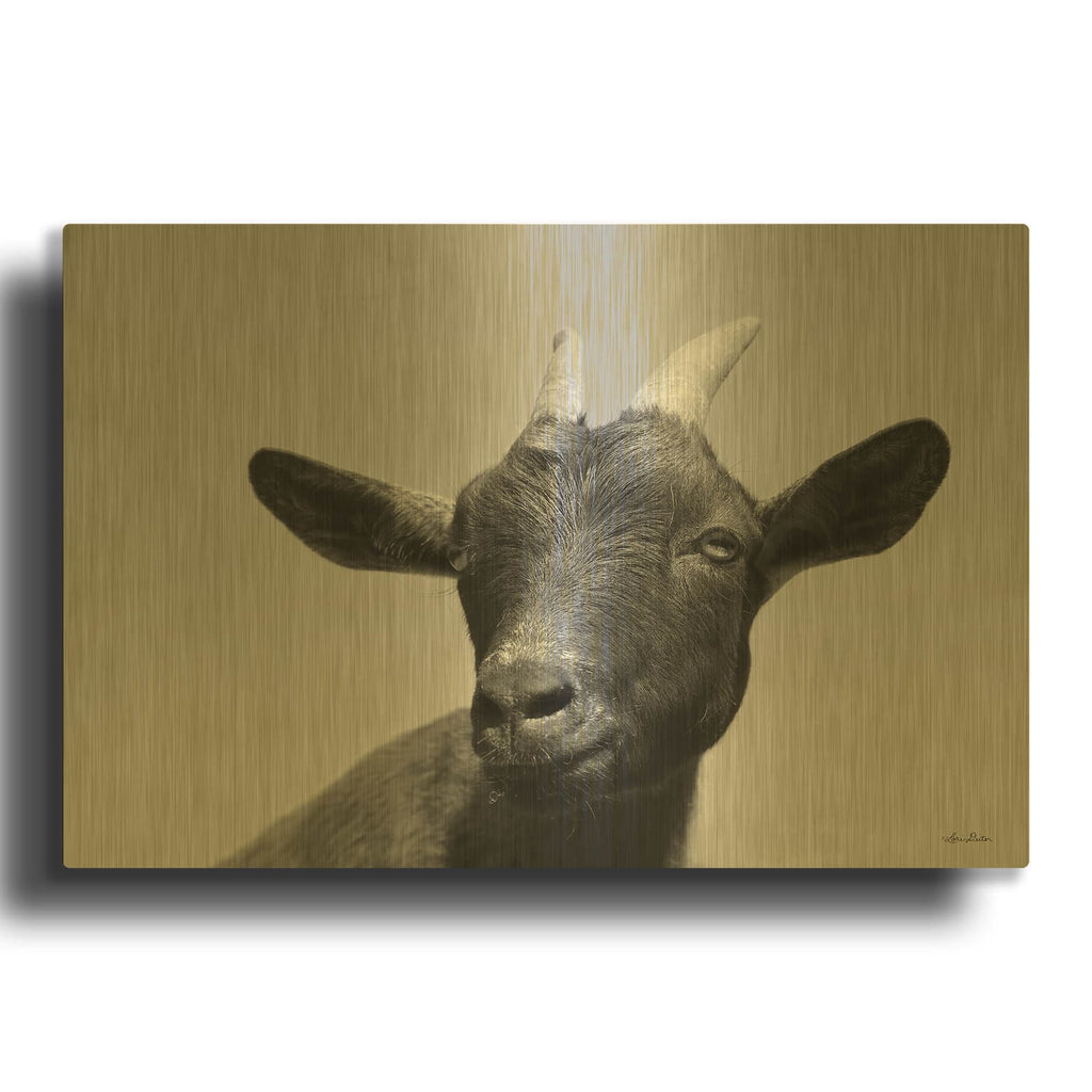 'Lake Tobias Goat I' By Lori Deiter Gold Metal Wall Art