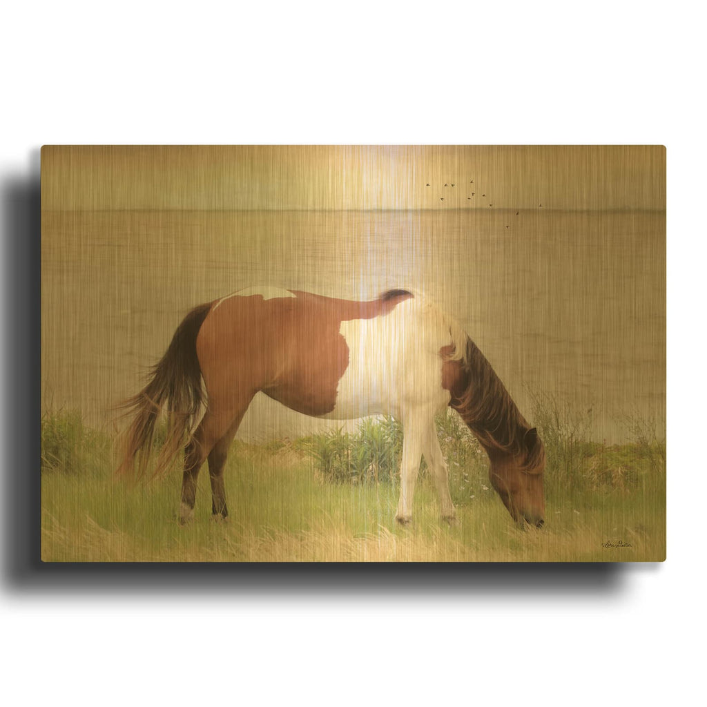 'Grazing on Assateague Island' By Lori Deiter Gold Metal Wall Art