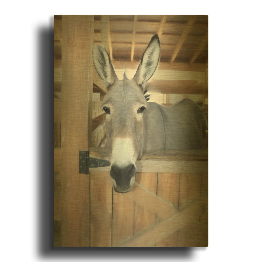 'Curious Donkey' By Lori Deiter Gold Metal Wall Art