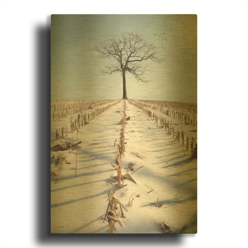 'Winter Boughs' By Lori Deiter Gold Metal Wall Art