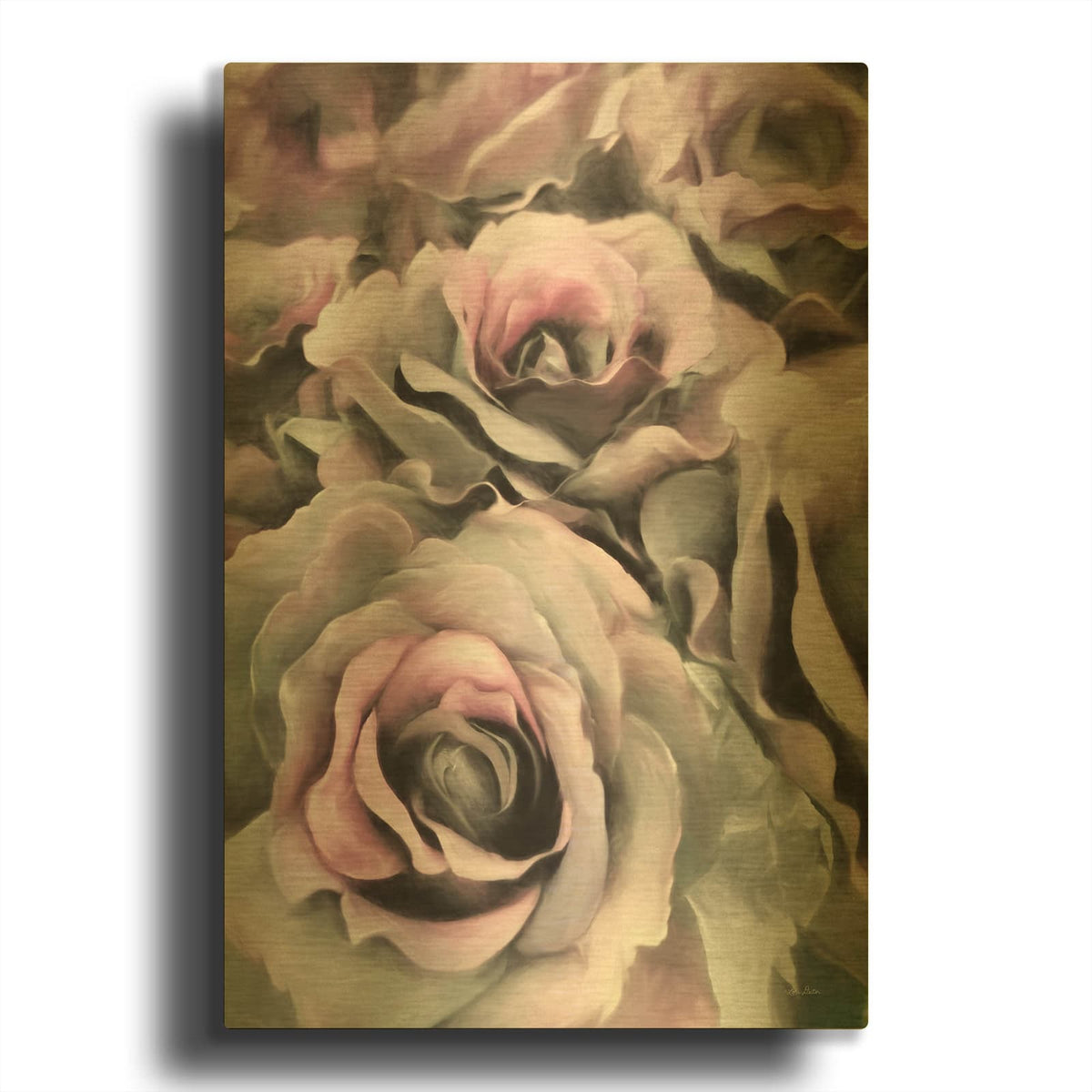 'Painted Roses' By Lori Deiter Gold Metal Wall Art