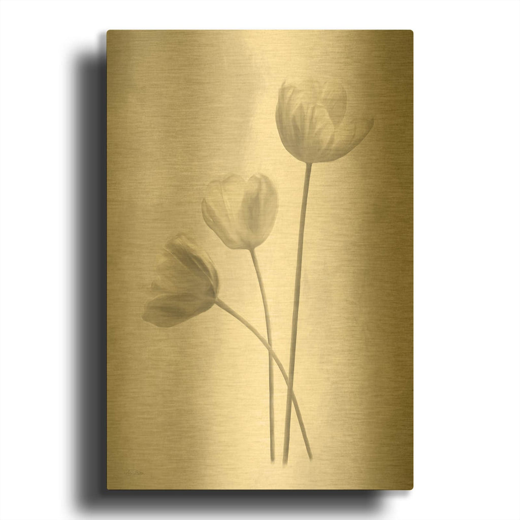 'Bleached Tulips I' By Lori Deiter Gold Metal Wall Art