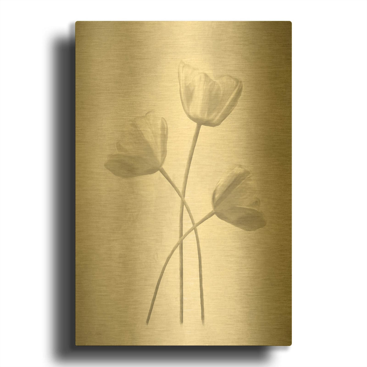 'Bleached Tulips II' By Lori Deiter Gold Metal Wall Art