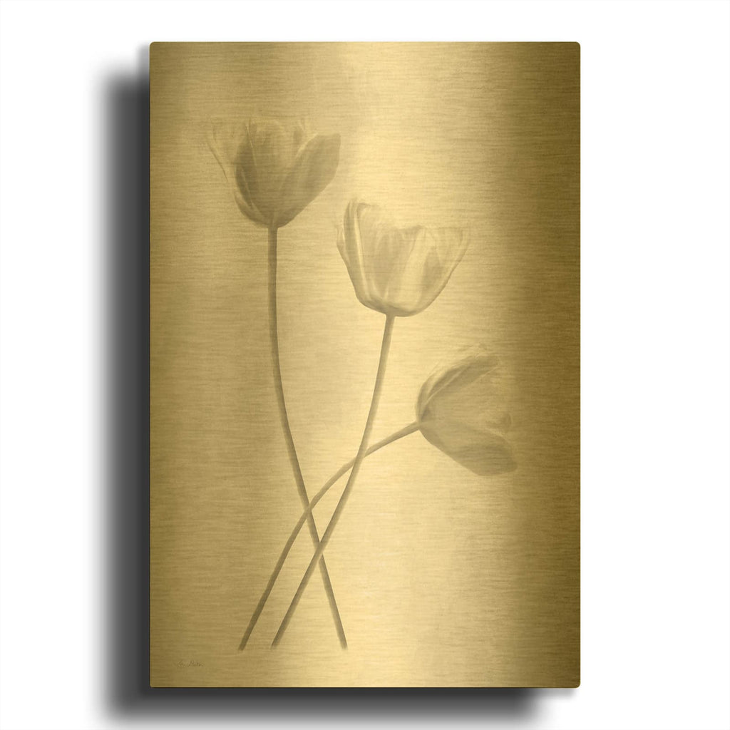 'Bleached Tulips III' By Lori Deiter Gold Metal Wall Art