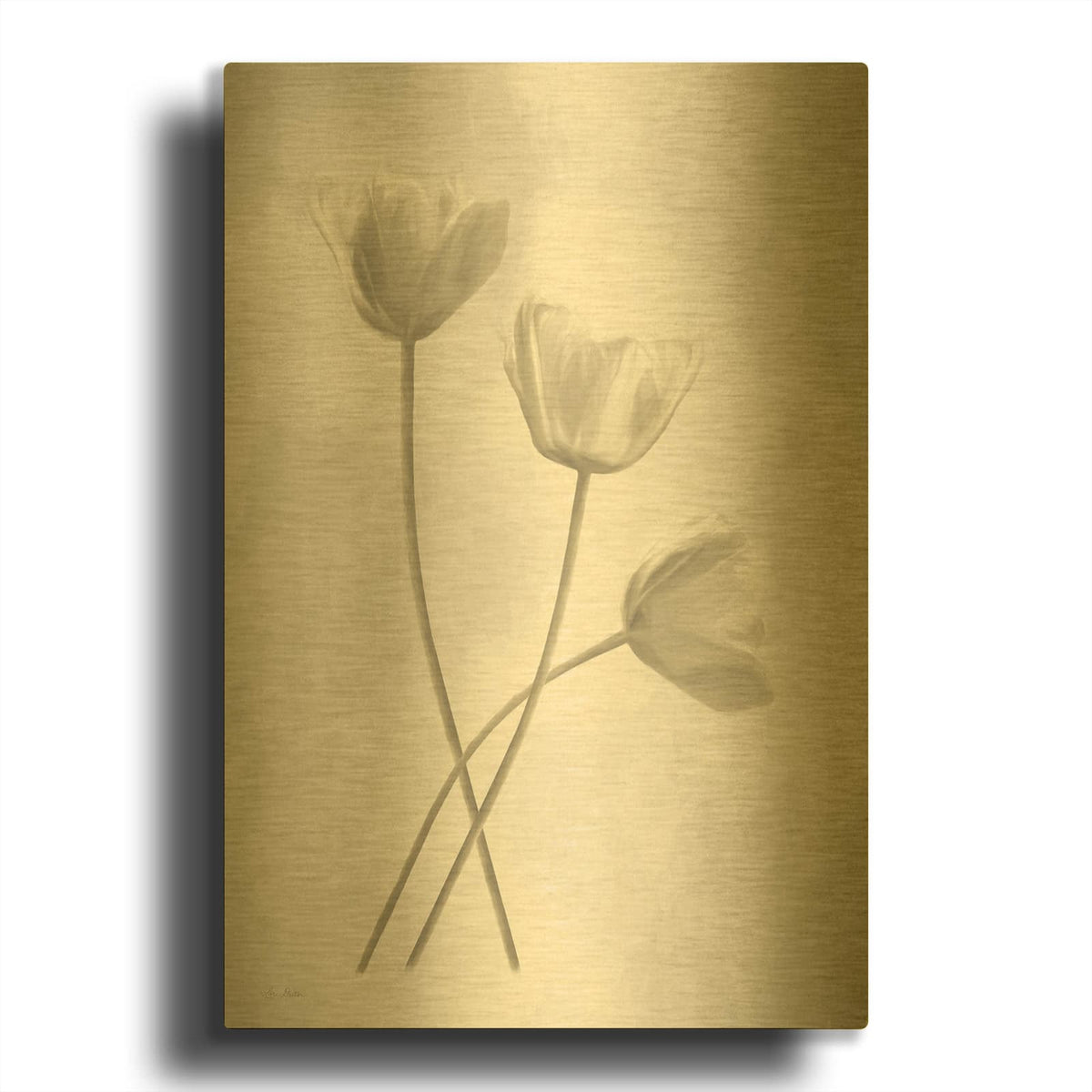 'Bleached Tulips III' By Lori Deiter Gold Metal Wall Art