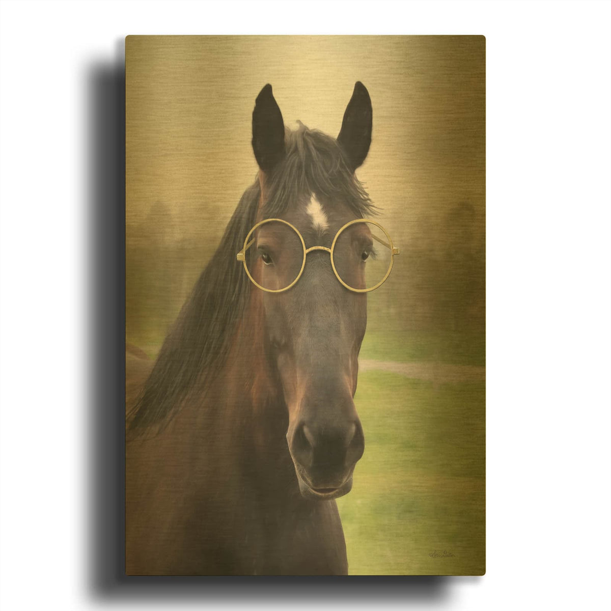 'Horse with Round Glasses' By Lori Deiter Gold Metal Wall Art