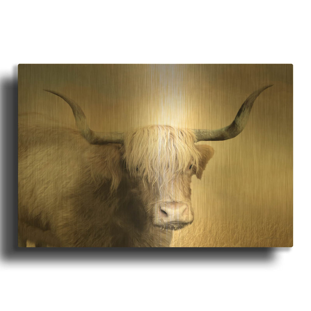 'Highland Cow in Golden Grass' By Lori Deiter Gold Metal Wall Art