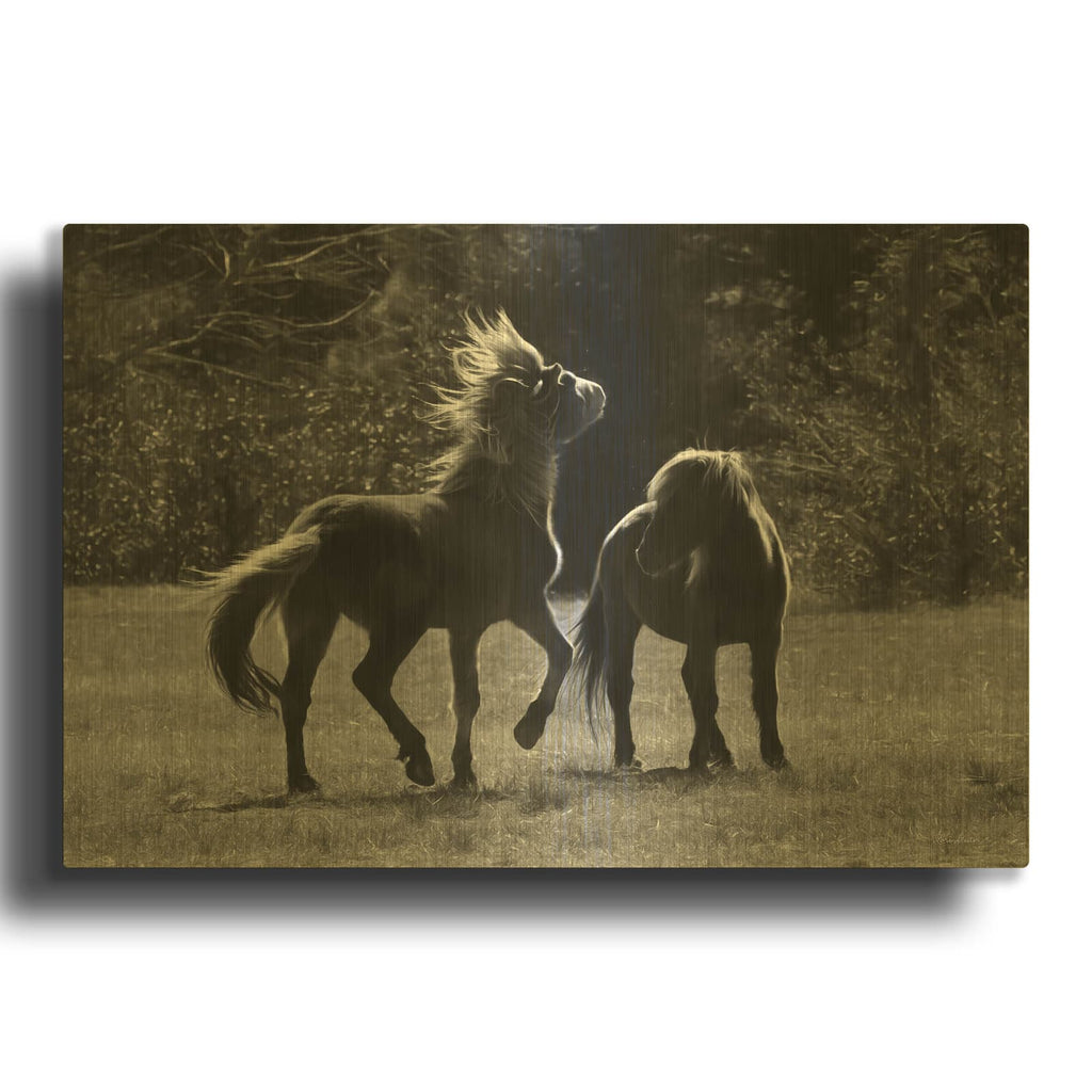 'Black & White Assateague Horses' By Lori Deiter Gold Metal Wall Art