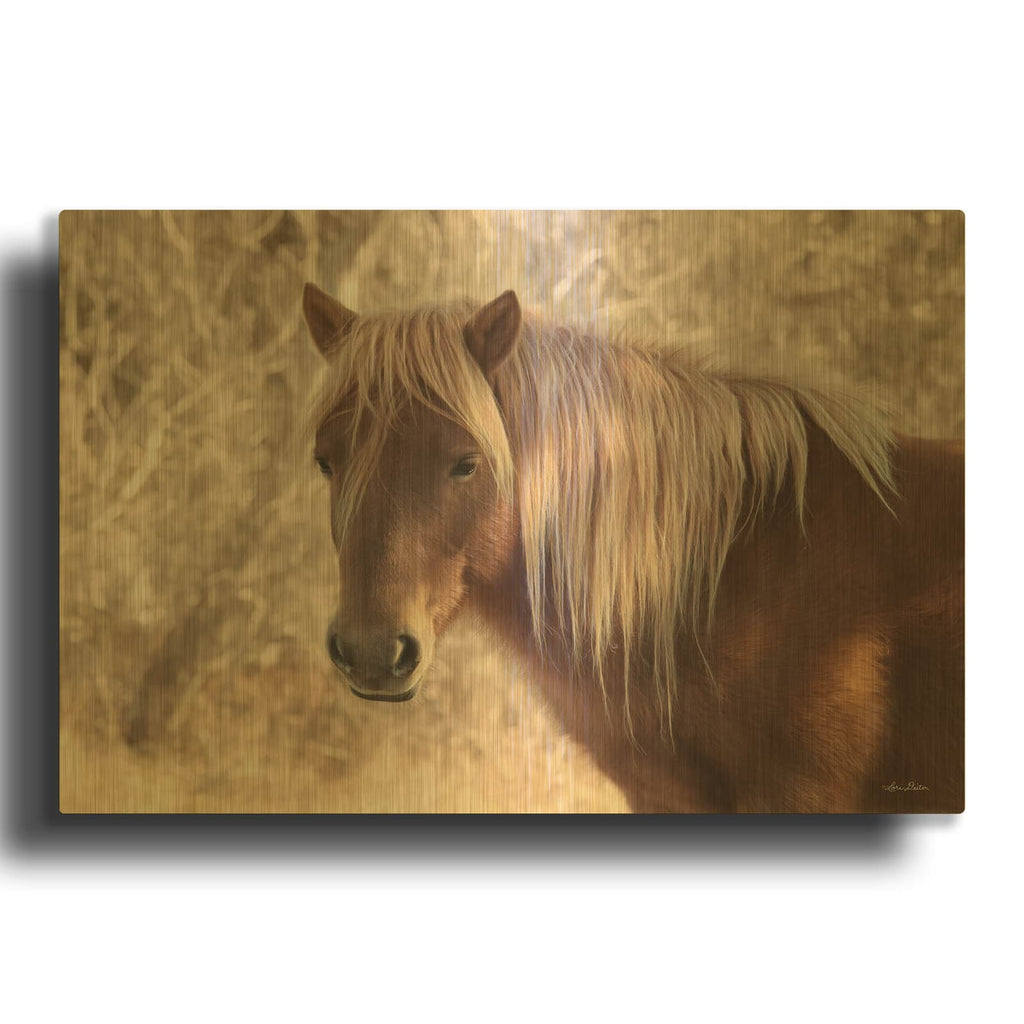 'Assateague Horse Portrait' By Lori Deiter Gold Metal Wall Art