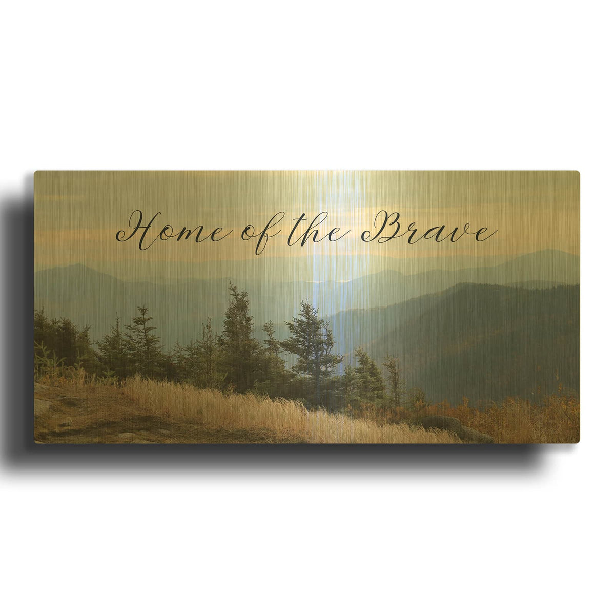 'Home of the Brave' By Lori Deiter Gold Metal Wall Art