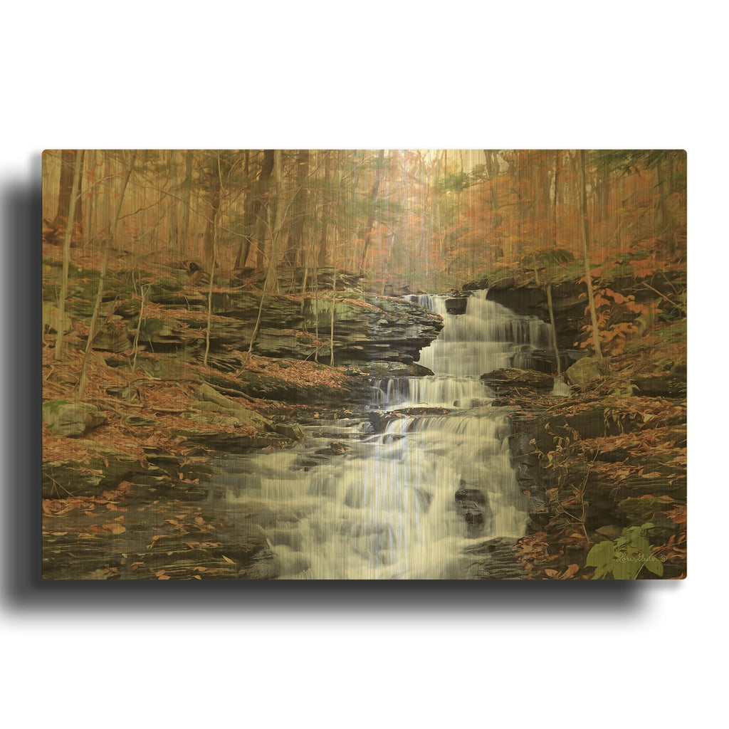 'Waterfall Steps at Pigeon Run' By Lori Deiter Gold Metal Wall Art