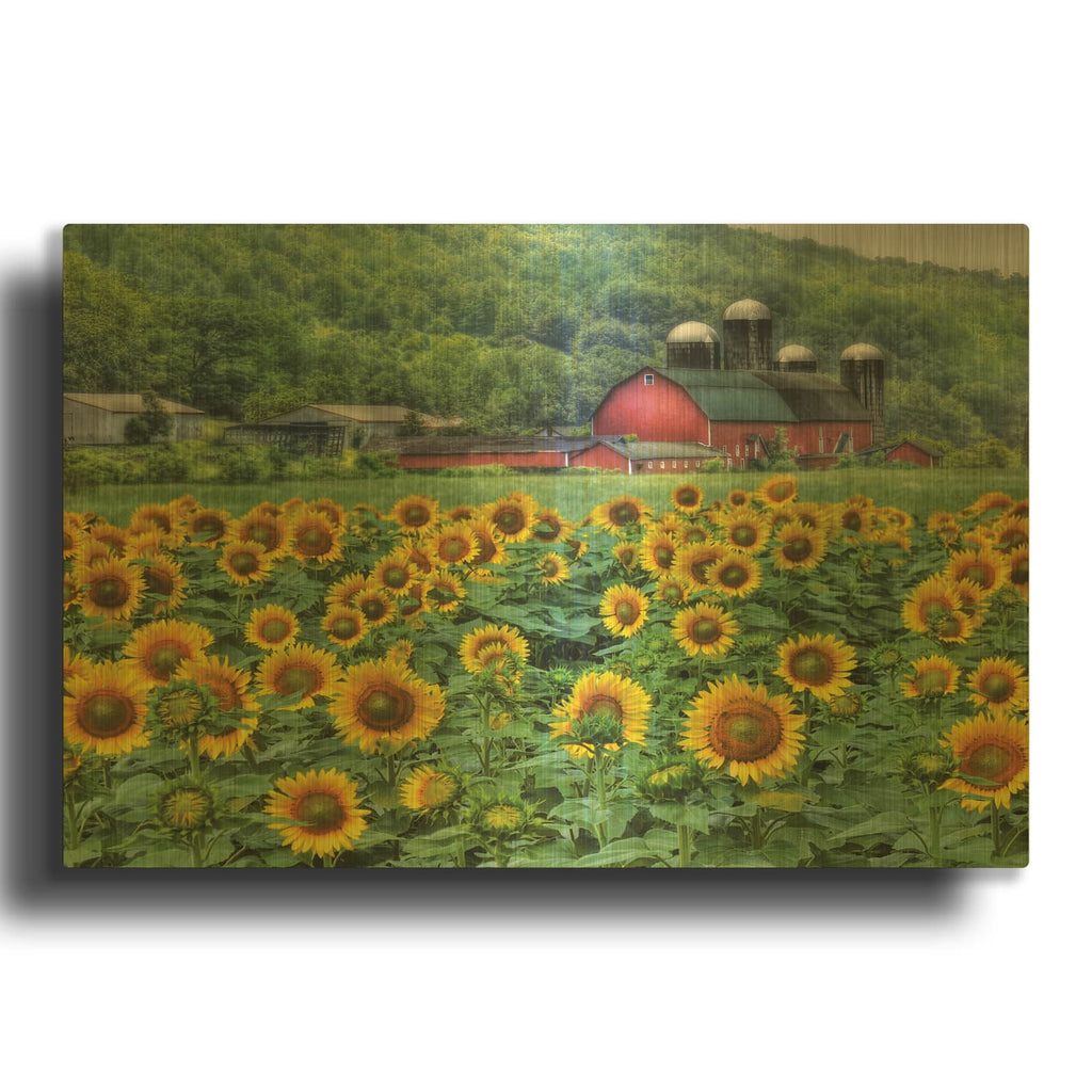 'Sunflower Field' By Lori Deiter Gold Metal Wall Art