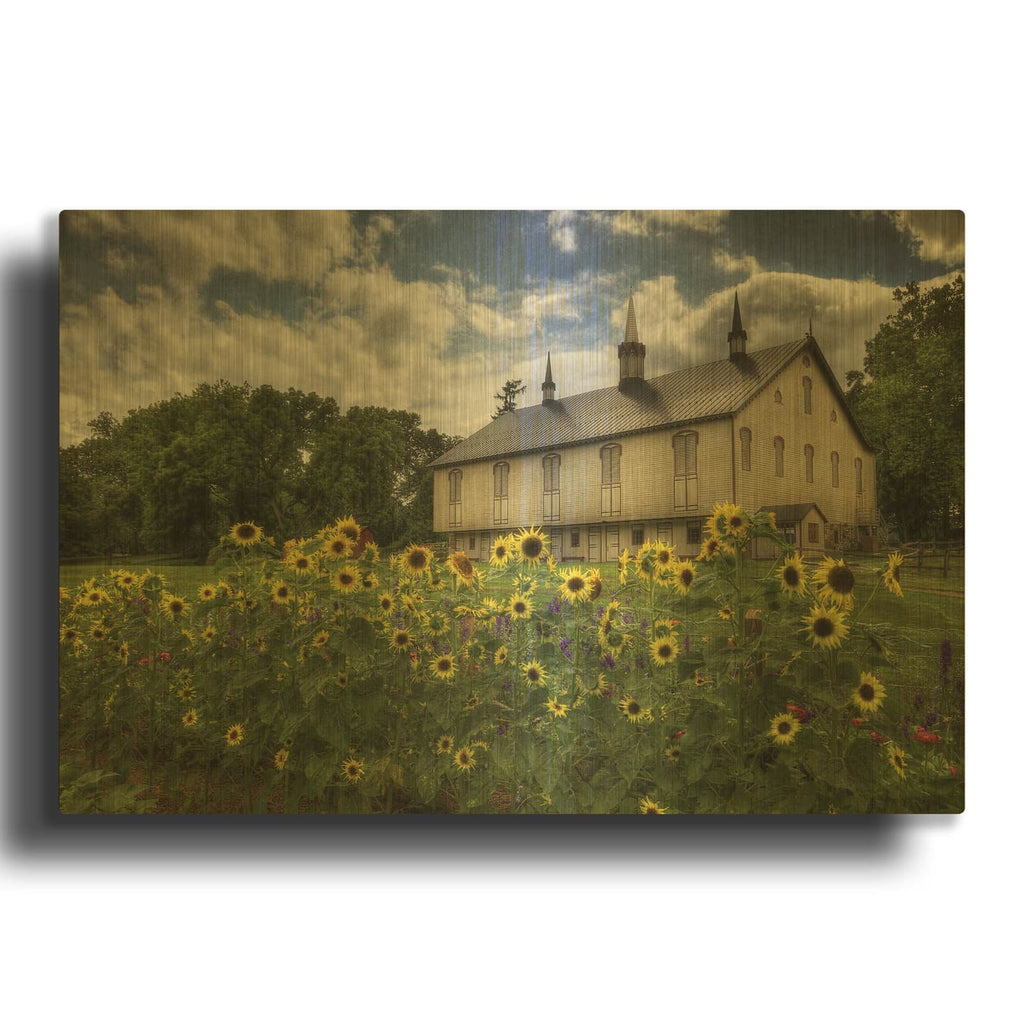 'Sunflower Garden' By Lori Deiter Gold Metal Wall Art