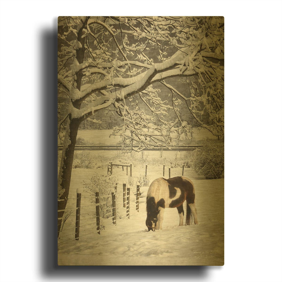 'Paint in the Snow' By Lori Deiter Gold Metal Wall Art