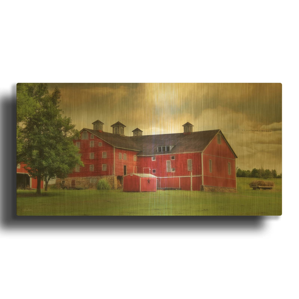 'Aging Gracefully' By Lori Deiter Gold Metal Wall Art