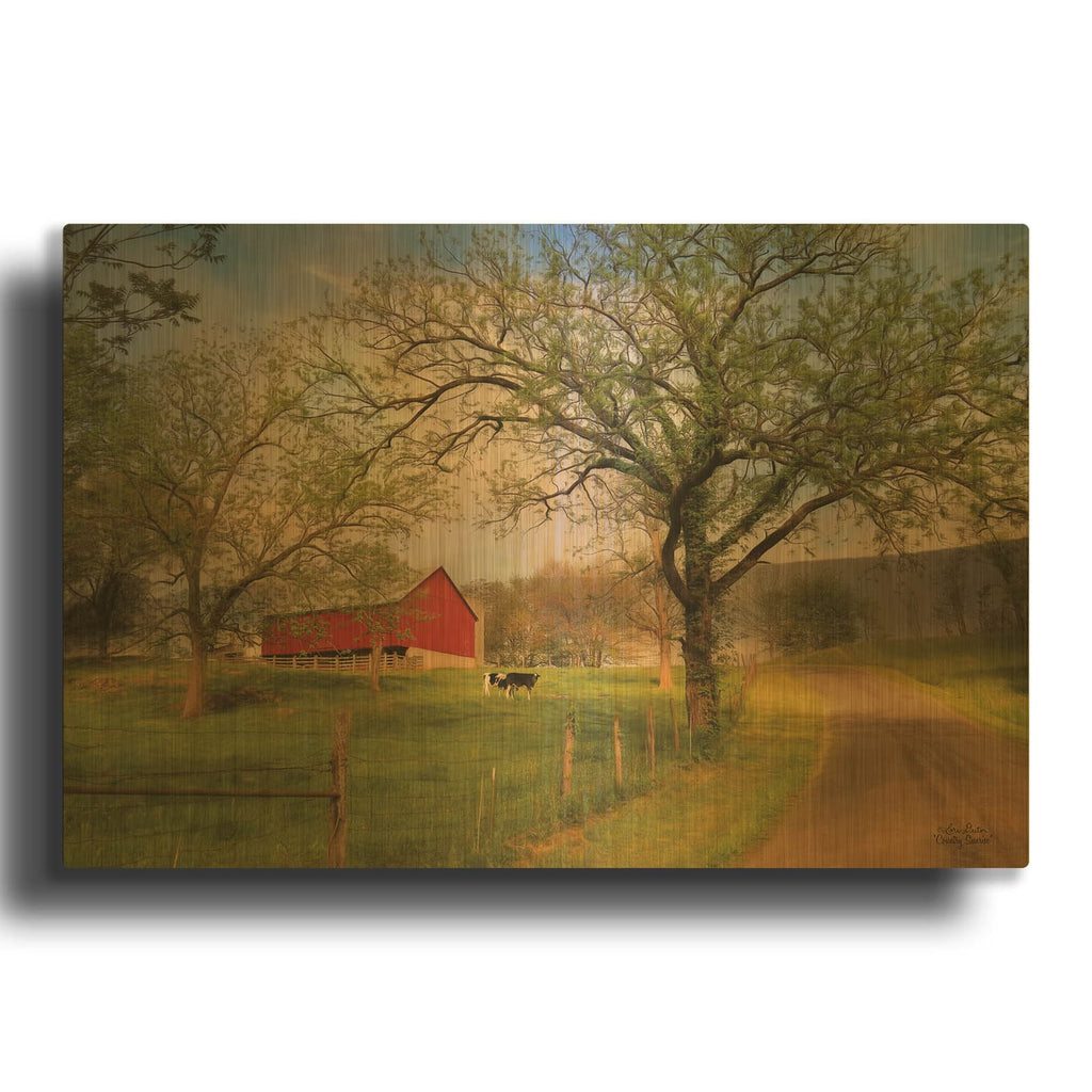 'Country Sunrise' By Lori Deiter Gold Metal Wall Art