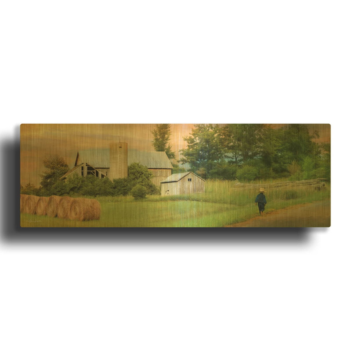'Amish Barefoot Farmer' By Lori Deiter Gold Metal Wall Art