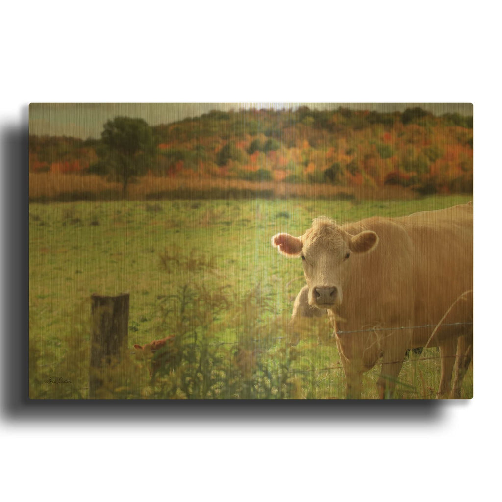 'Fall Cow' By Lori Deiter Gold Metal Wall Art