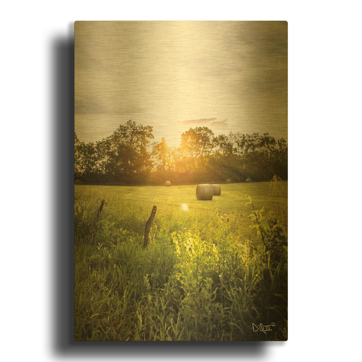 'Daybreak in the Country I' By Donnie Quillen Gold Metal Wall Art