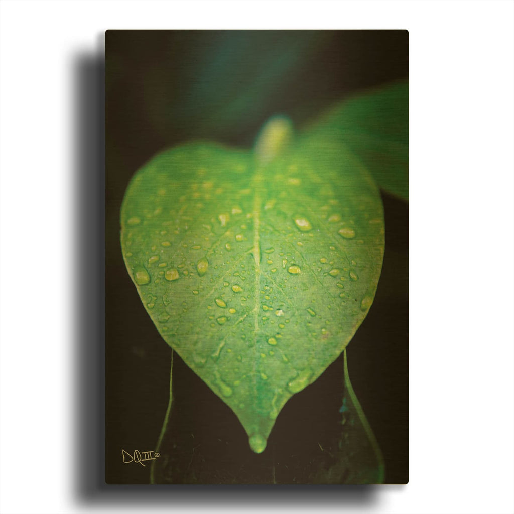 'Green Leaf' By Donnie Quillen Gold Metal Wall Art