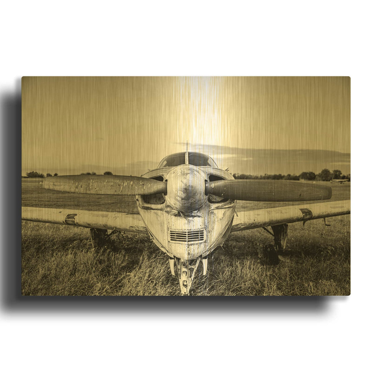 'Last Flight II' By Donnie Quillen Gold Metal Wall Art