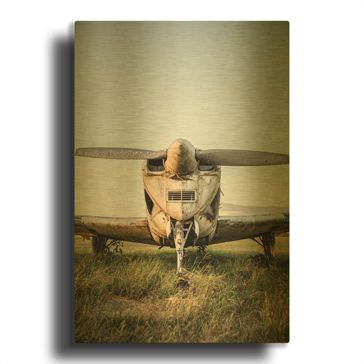 'Last Flight III' By Donnie Quillen Gold Metal Wall Art