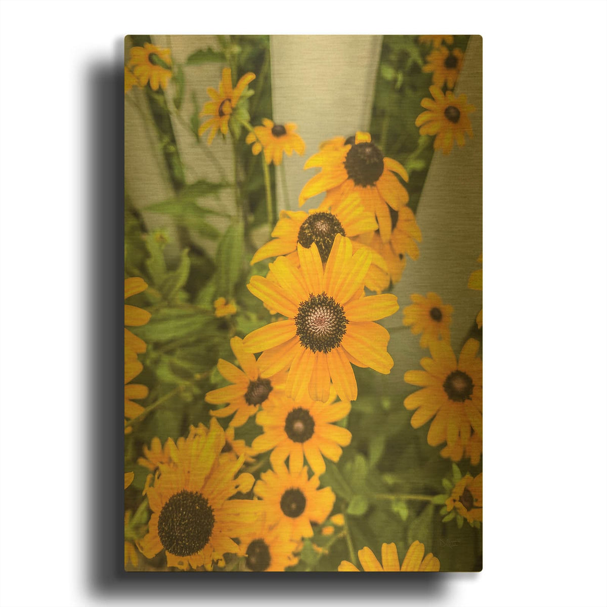 'Bed of Yellow' By Donnie Quillen Gold Metal Wall Art