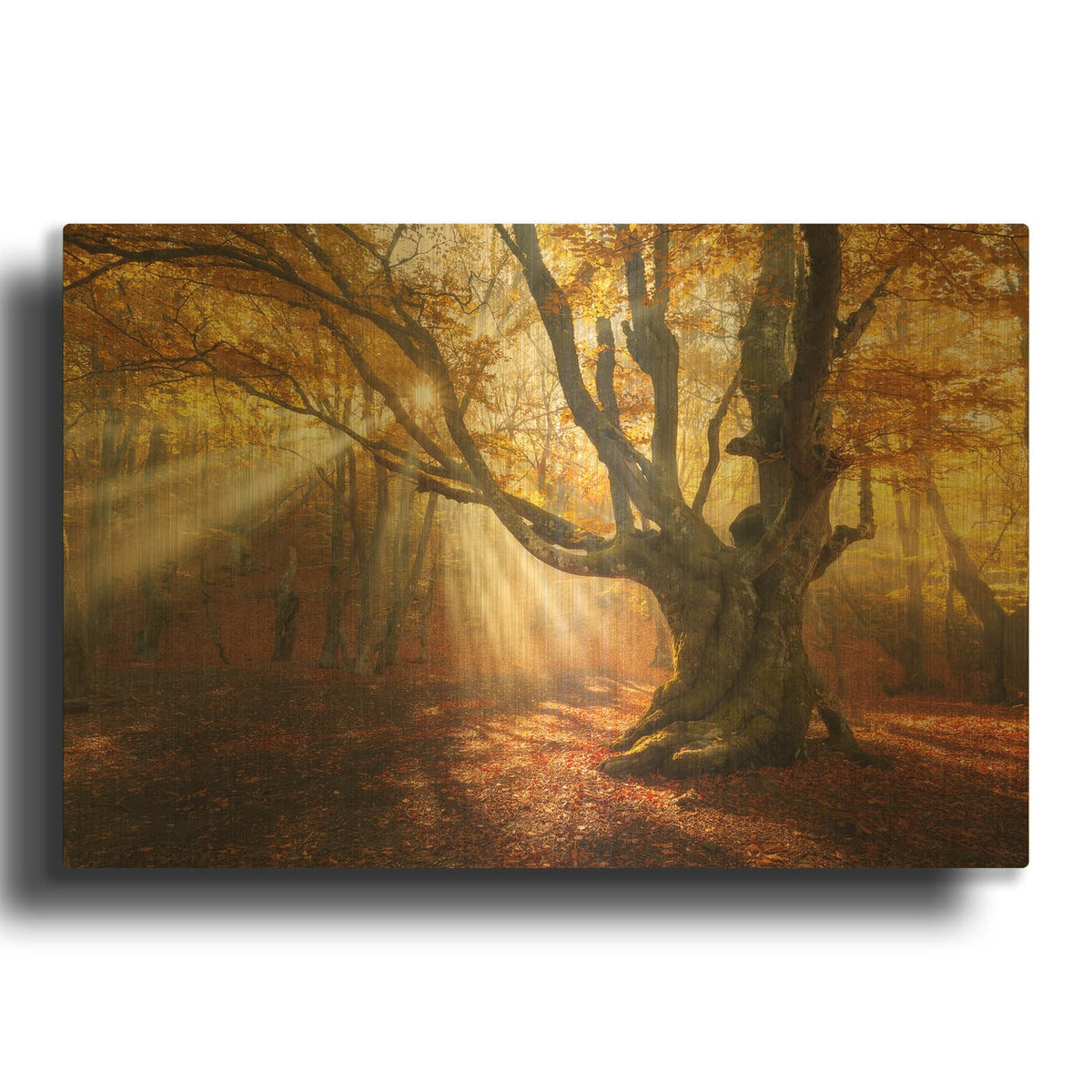 'Enchanted Forest' By Luxe Gold Metal Wall Art
