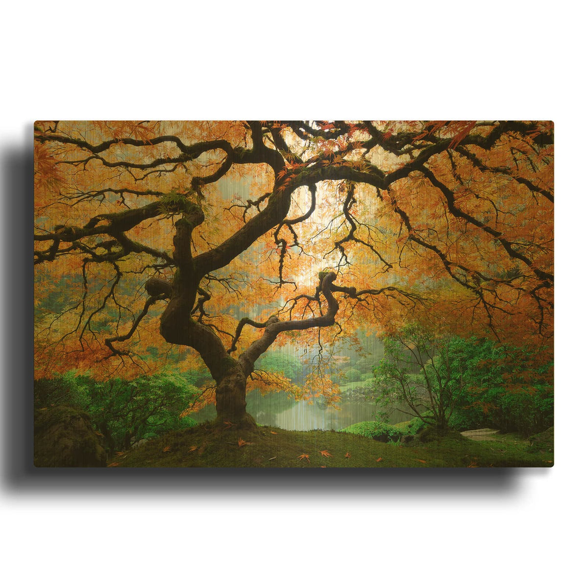 'Magical Autumn' By Luxe Gold Metal Wall Art