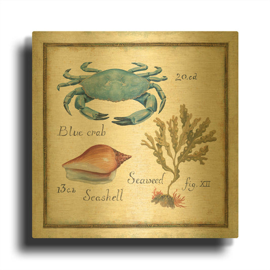'Oceanography IV' By Daphne Brissonnet Gold Metal Wall Art