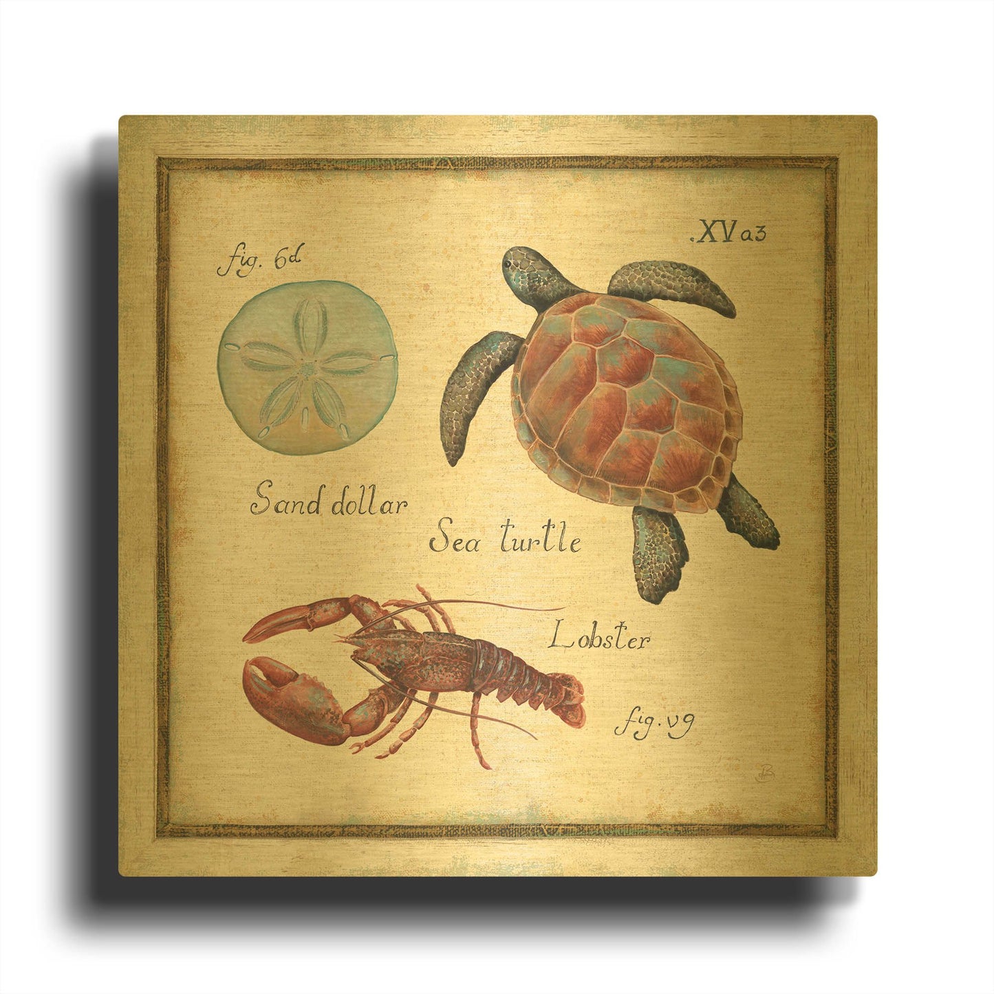 'Oceanography II' By Daphne Brissonnet Gold Metal Wall Art