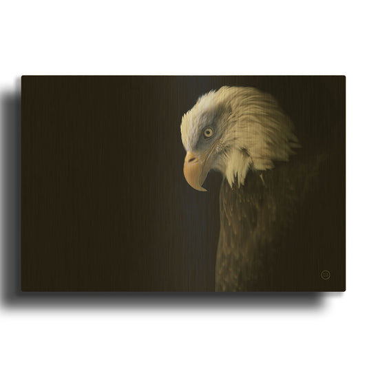 'Eagle Bow' By Nathan Larson Gold Metal Wall Art