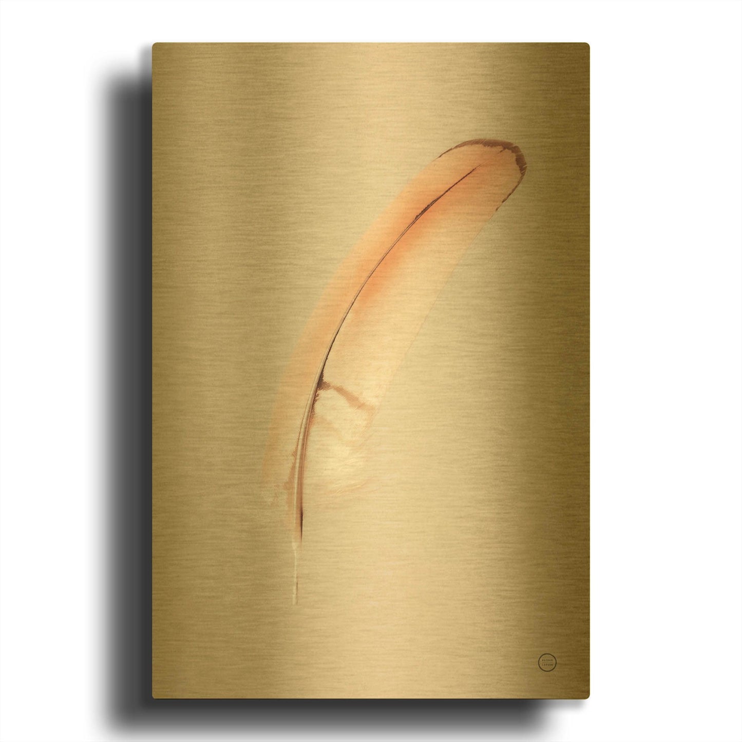 'Floating Feathers III' By Nathan Larson Gold Metal Wall Art