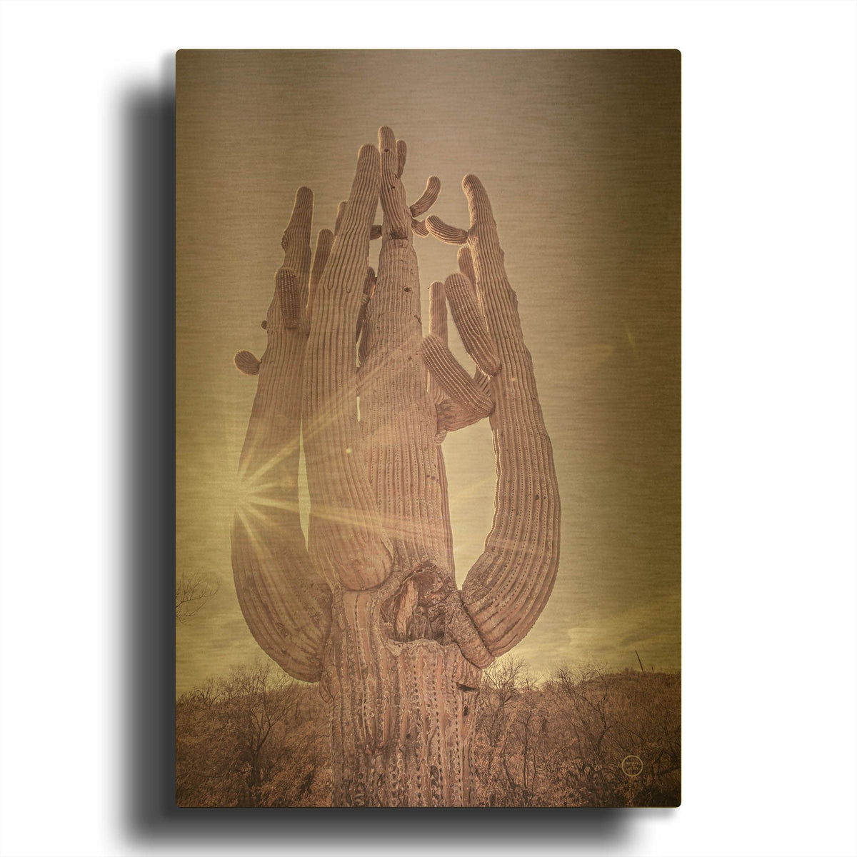 'Dusty Desert Saguaro' By Nathan Larson Gold Metal Wall Art