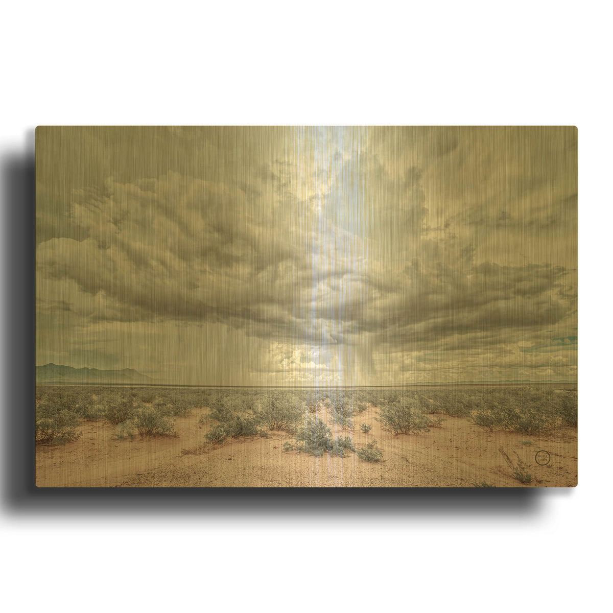 'New Mexico Rain' By Nathan Larson Gold Metal Wall Art